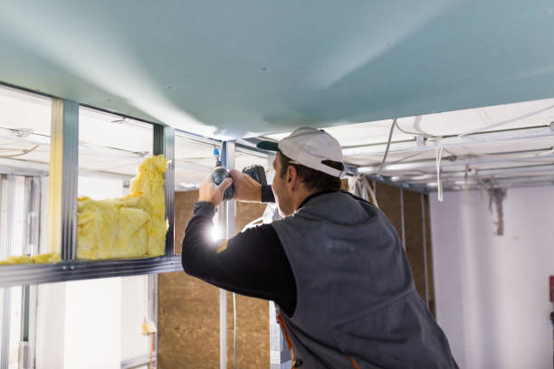 Best Insulation Installation Services in Rossmoyne, OH